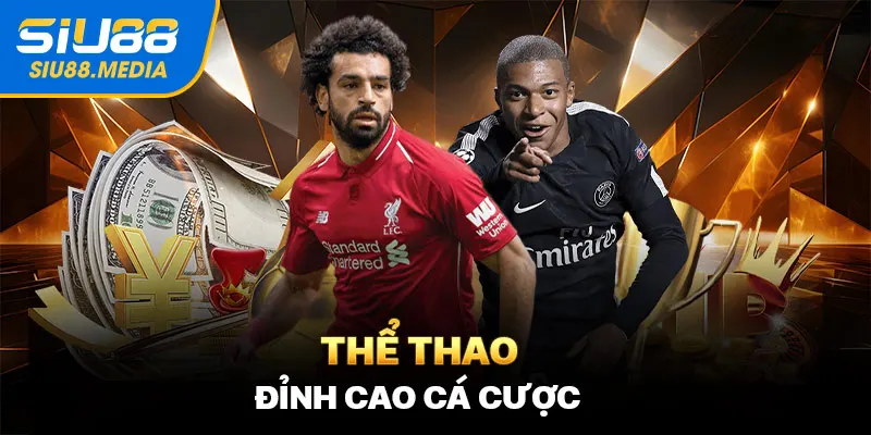 Thể thao đỉnh cao cá cược